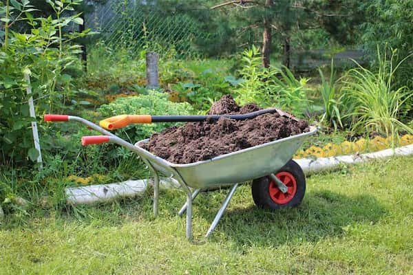خرید و فروش فرغون سبز با شرایط فوق العاده